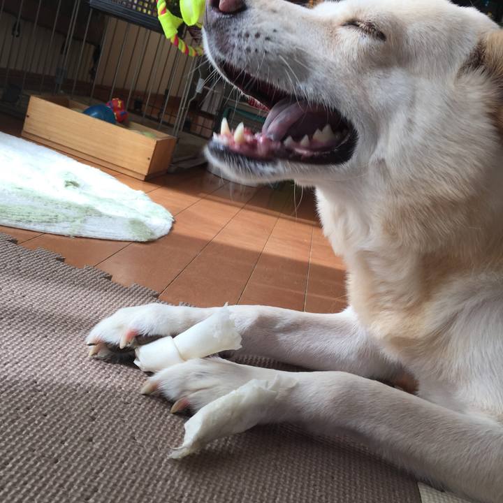 07644678 5193 41cc 9481 f9614a66f87d 1510451669993