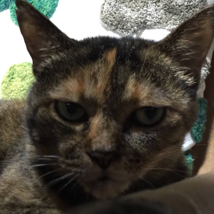 076449bb 0cc2 49f8 8aa9 abb38d95e354 1534425302932