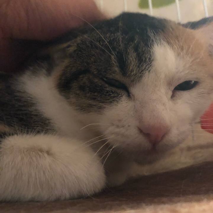 07646c13 aac3 4c73 b0d1 6abe6732acd1 1574238567830