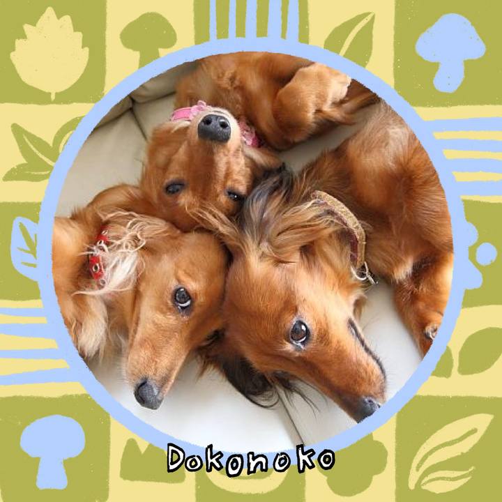 07646e0d 031c 4f6d aa4d ce946d642306 1762421699636