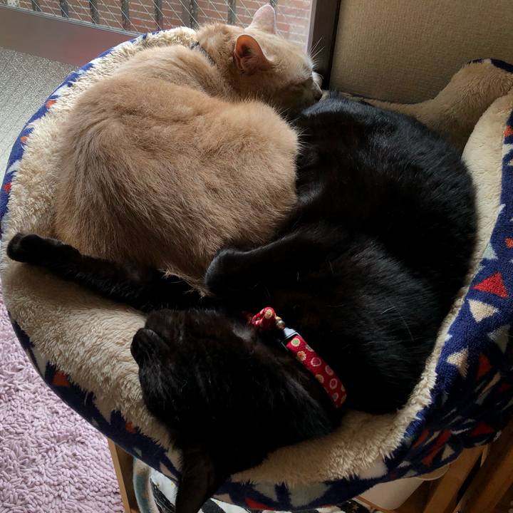 07648397 1bd8 4308 b158 2ff154f37c46 1628917156337