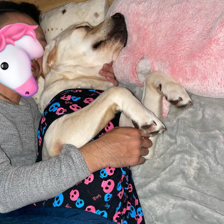 07648516 79c8 439c 9067 c359332bc4d3 1669089455363