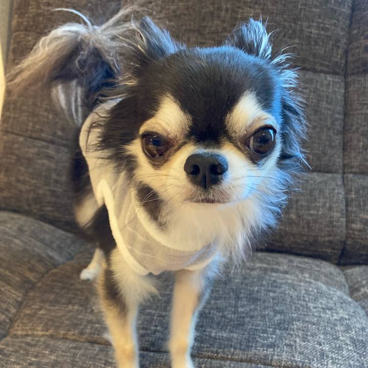 0764eb94 a054 4064 a9a7 d64c1028d0dc 1714733593002