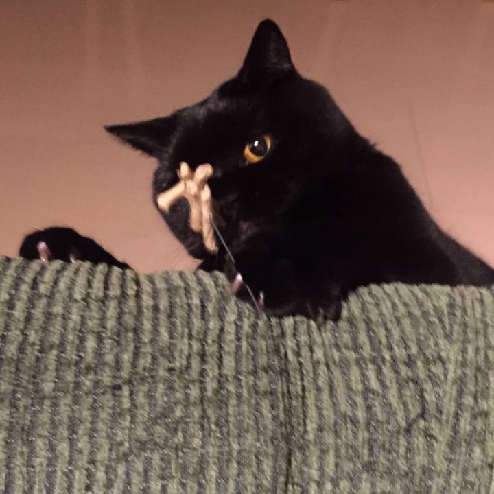 076542d1 f3cf 441e 8188 6b0c562d90b9 1582807033513