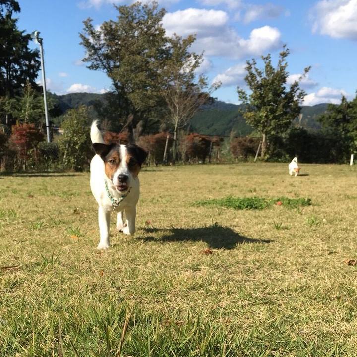 07655dc4 789e 48e3 9559 acac065fc71c 1509779397121