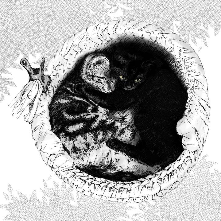 07657f73 ede6 40d6 b75d 49b45f675bb3 1596031867034