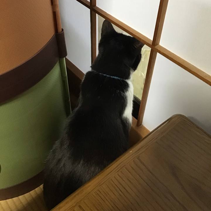 0765ac34 8eb1 4461 a501 1da9ad455fe7 1745141814738