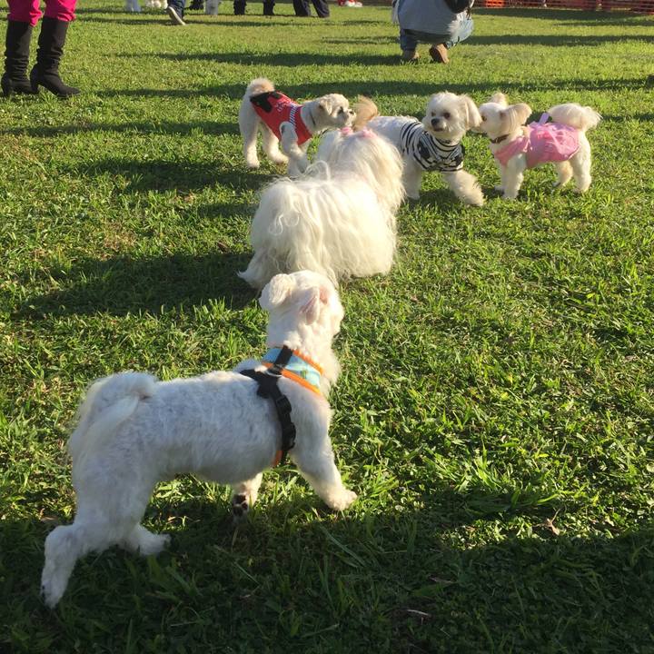 0765b492 18b9 42dc abd9 9fb69ce687b8 1509718479478