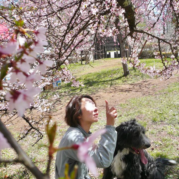 0765e6c3 5760 4c86 b7c9 e3f707c85c0d 1555127419186