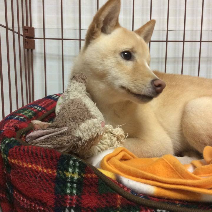 076646d3 2008 44da 8261 1df2341963ed 1510743796939