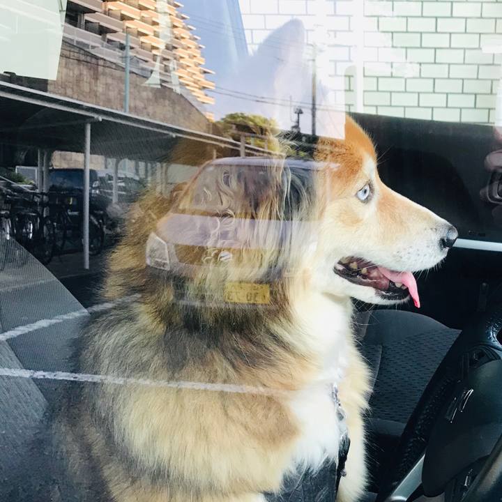 0766672e 930c 422f afb5 63677c2dd3ea 1587632342079