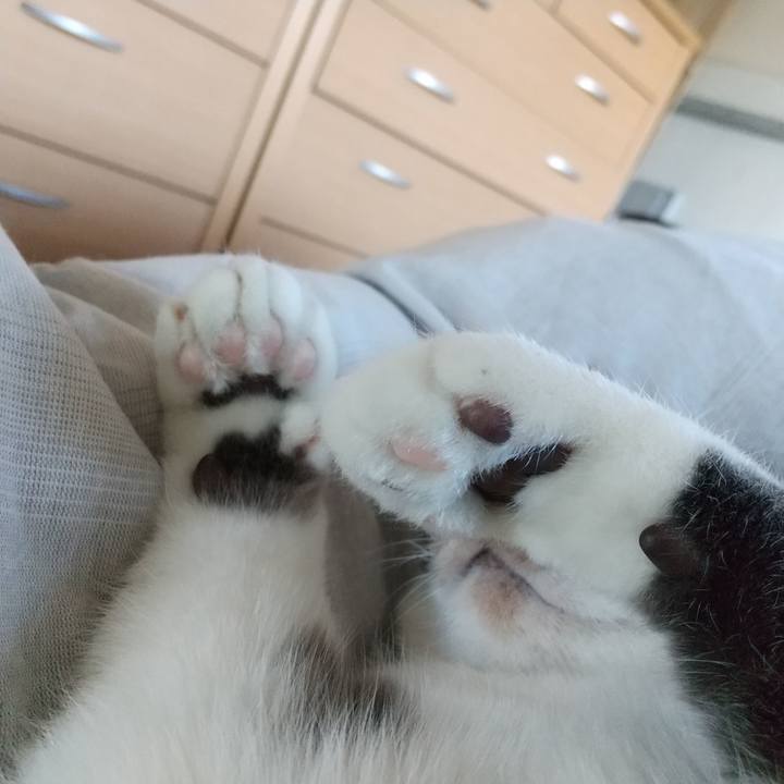 0766782b 1039 4232 9300 fc7780808329 1612657292439