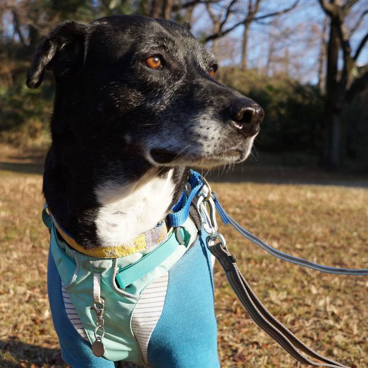 07669621 08fe 493c af77 68164dc2898d 1771030063449