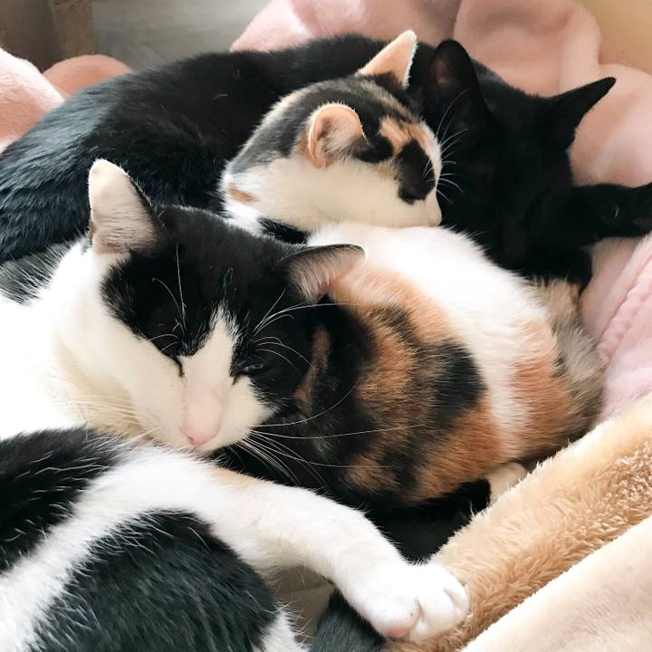 0766d218 25b4 493a 9689 04d80a588d64 1511831134510