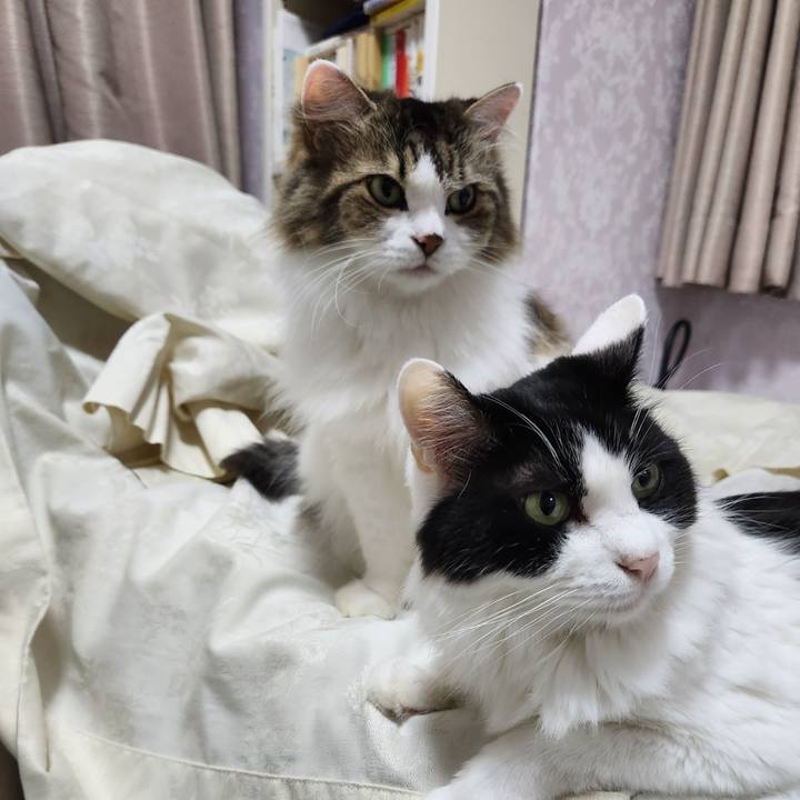 0766d895 4a1a 4b40 880d b2c67ed5ed69 1697028270591