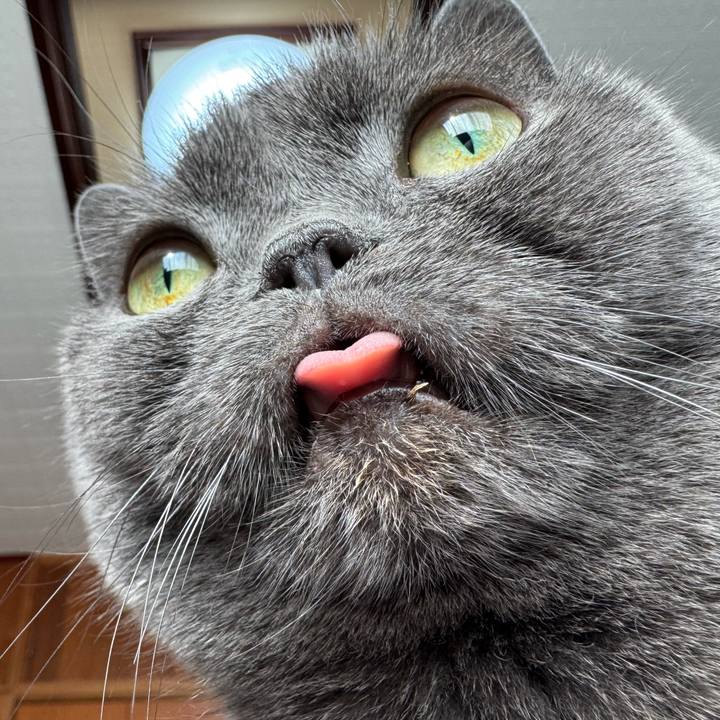 07671315 fc07 471f 8d0d bac08cf815aa 1765699202025