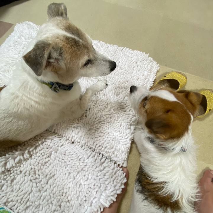 076713ef ef66 4265 ba54 53b7127e127f 1693142641097