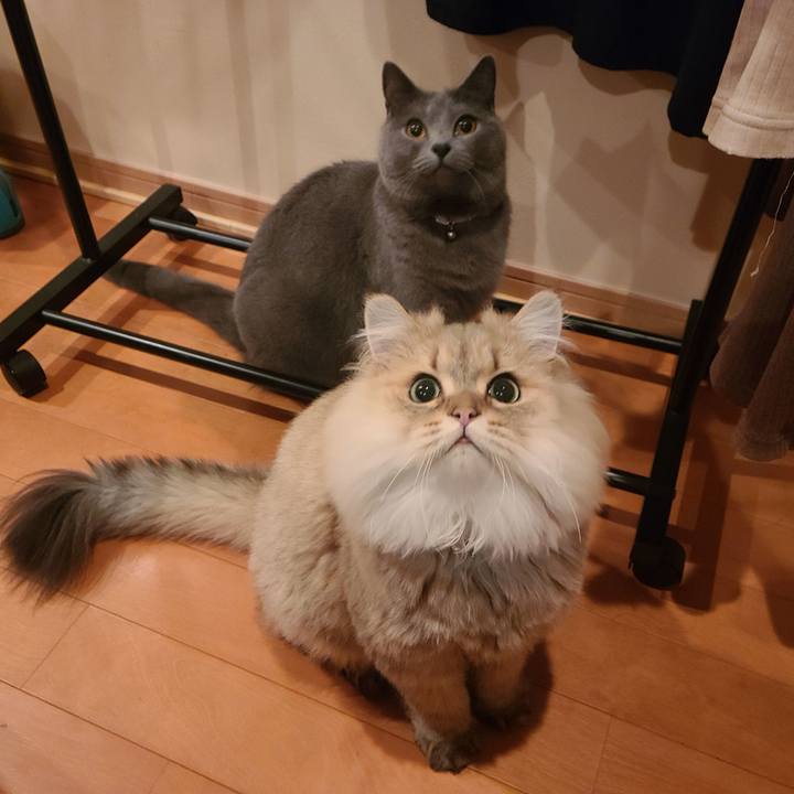 07672e9f d18d 4715 8b2a 29989e316ca3 1604488159789