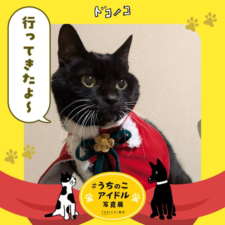 07674562 5201 499a a02b 3b36d87c6e4c 1761693126760