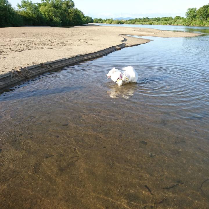 076746d8 442d 40e7 b021 078df26fa95d 1590312719686