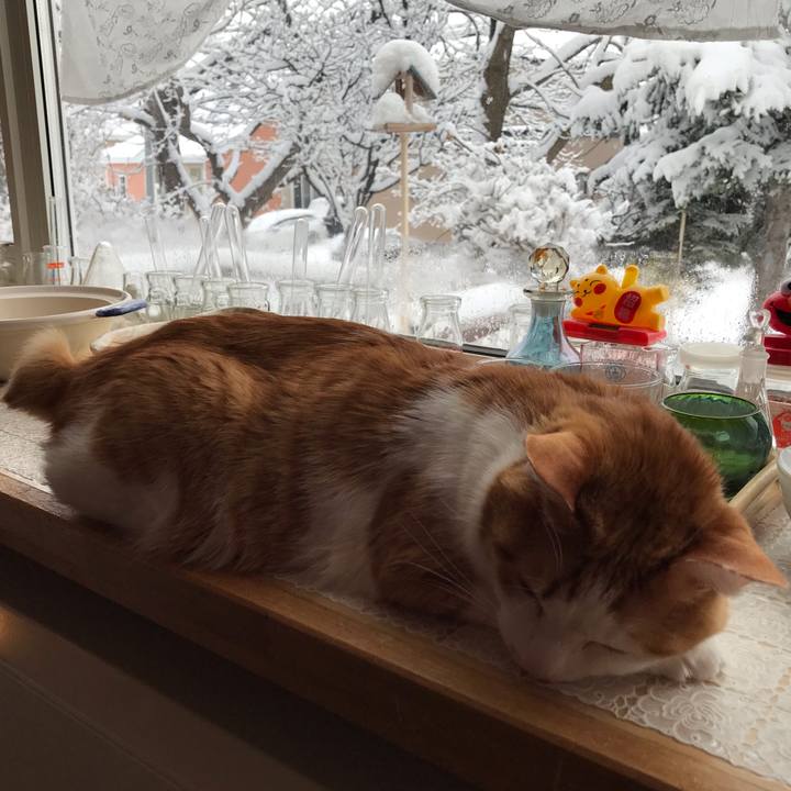 07675074 5eba 4fe3 a4f1 6cd12500fc69 1586467037830