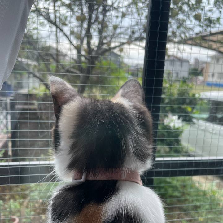 07677d25 a77b 4e39 9e4a 1b64519664f8 1696724654117