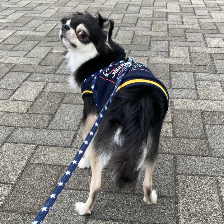 07679fa4 f897 4fba a031 8cfdf55e9c9d 1648300102019