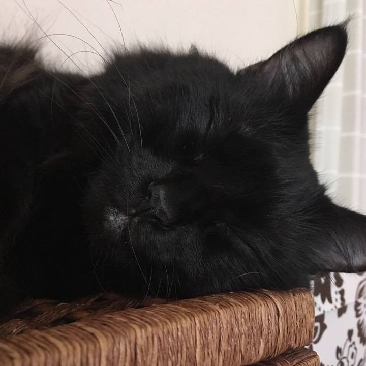 0767a6a0 af2c 423d abc4 5ea827d7a416 1538006161069