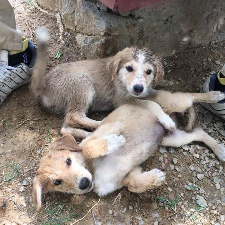 0767b43c 73ed 46b5 bd1d cd077b8721be 1530629215663