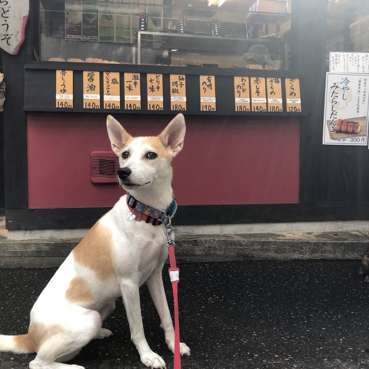 0767ba85 c4a3 44a5 b271 f2f1d113f598 1599142632762