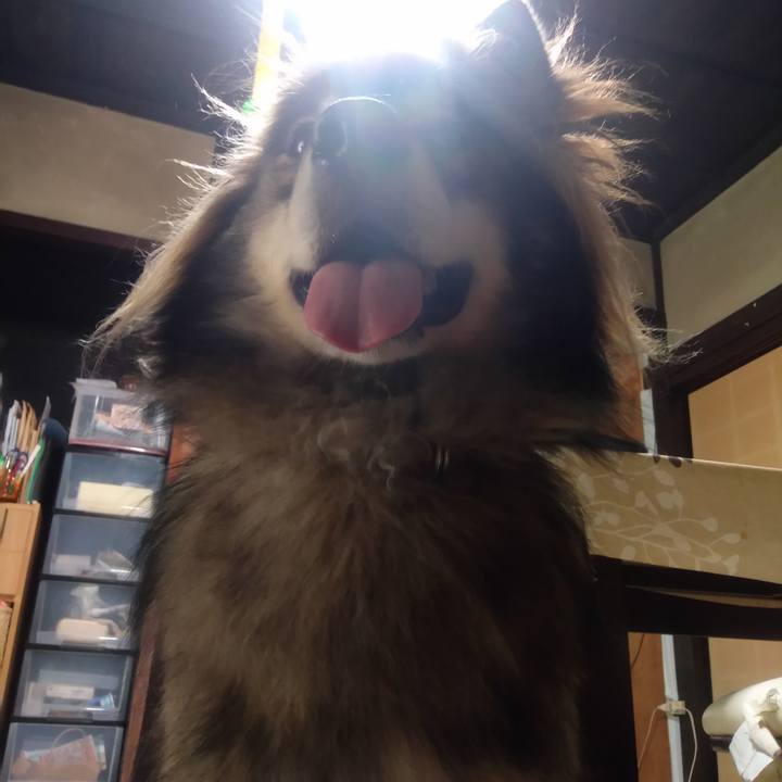 0767cce5 7e6a 403a 9c75 2b5e73a91cb4 1600921207965