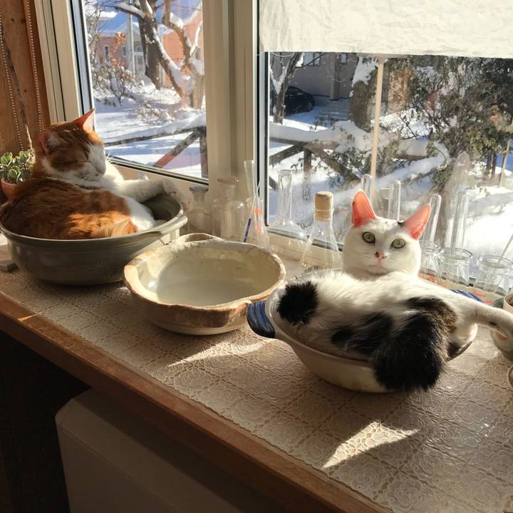 0767f002 1893 47b3 b125 ccbac5e9152d 1544835073658