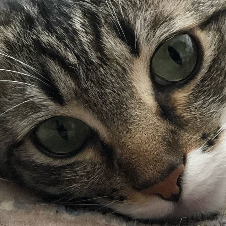 07680afb 9b83 4407 b577 32fcec2b89be 1521238608245