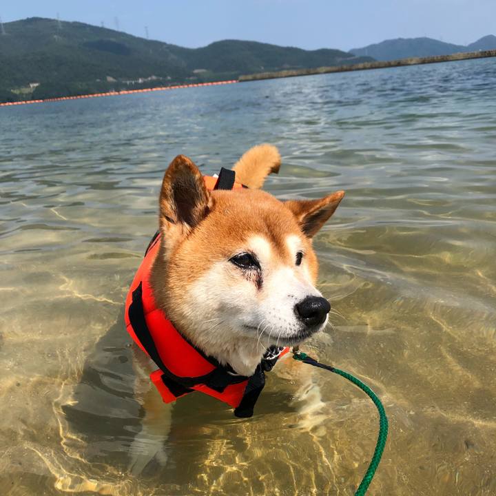 0768119b c672 4bfe bd83 a7be335dbfc0 1566707129986