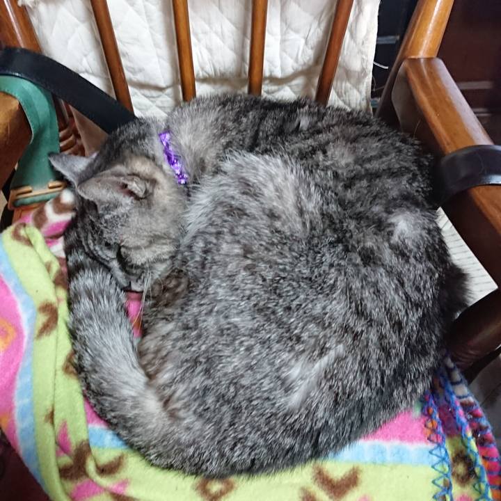 07681f08 9b3a 4a76 a0c2 c35abd446a1e 1579402095488