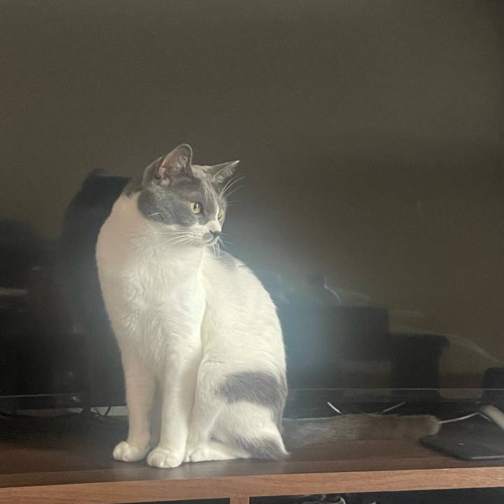 0768515b 83c9 4030 898e 3141b3409c16 1629591674087