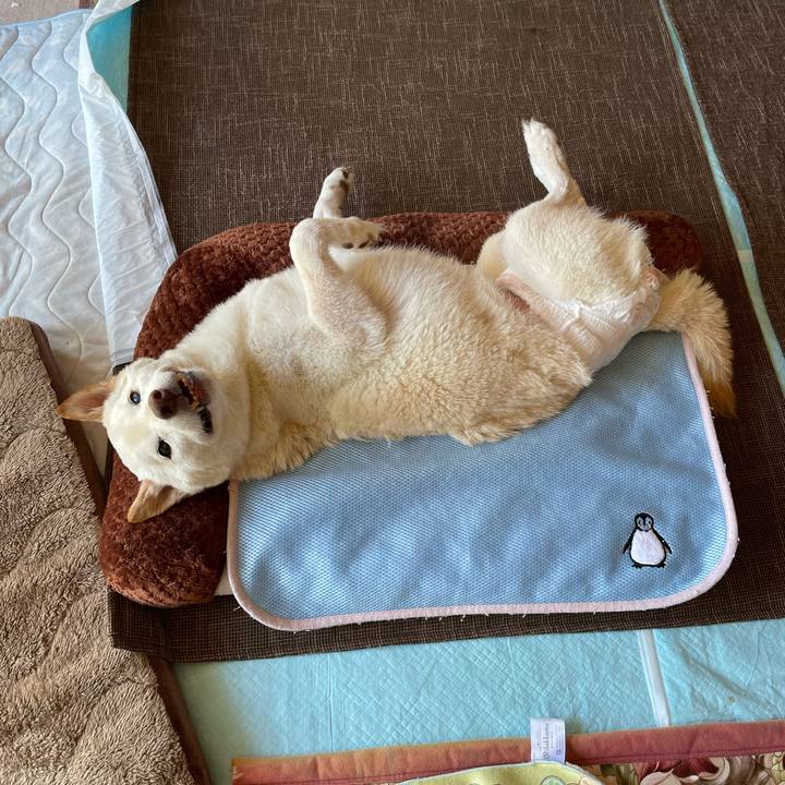 0768569e 65e3 4a68 93d5 c046dde7c875 1666288416297