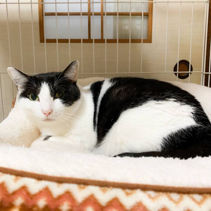 07686935 96b9 4577 9127 738efe27e3f6 1576288321902