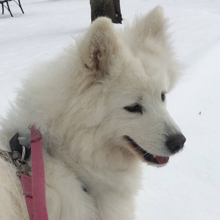 07687582 965c 4e74 8623 5debbe0cb9db 1549705162240