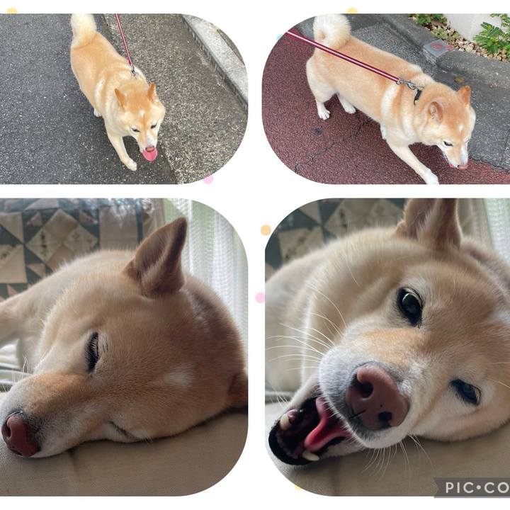 076888ef f403 483b 86a1 6fce8934f64d 1722561250398