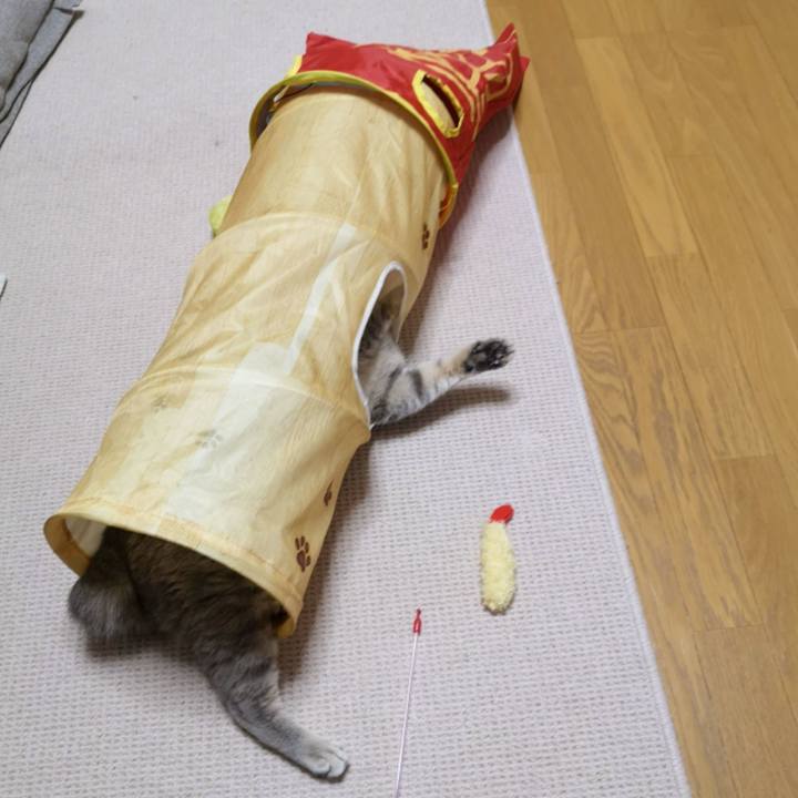 0768c64f 1e25 4c3b 8c2c 26b148a64508 1604115847265