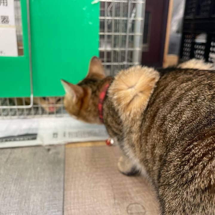 0768e685 cf01 4d2e 9ce8 fbbc61000b76 1707488332169