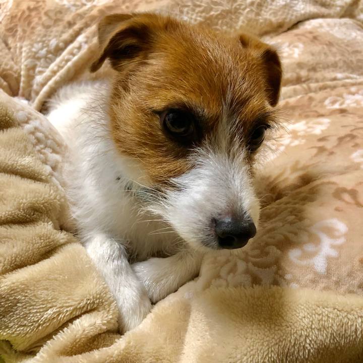 0768eeb8 181d 43ea a3da 42226d3db20a 1548848446861