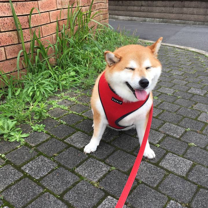 07691744 4e80 4876 b965 9efcf467aa45 1594868609040