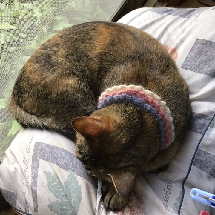 07694929 e96e 4079 9e94 782cf0d8e25f 1624164190285