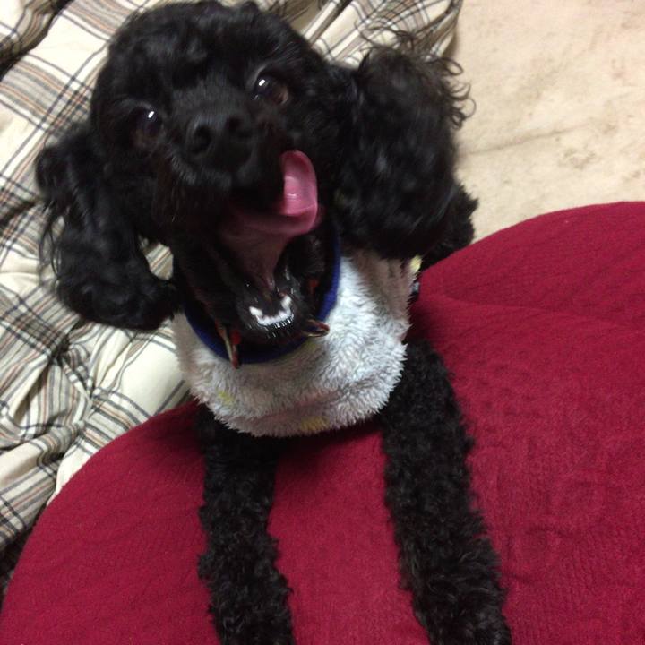 07695df1 9520 4ddf add4 3244e20aa00c 1517090920172