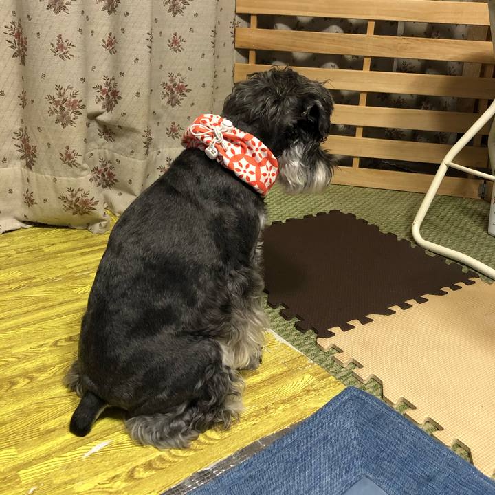 07697a9b 6b03 4b72 8c00 b501c897e51e 1692106398719