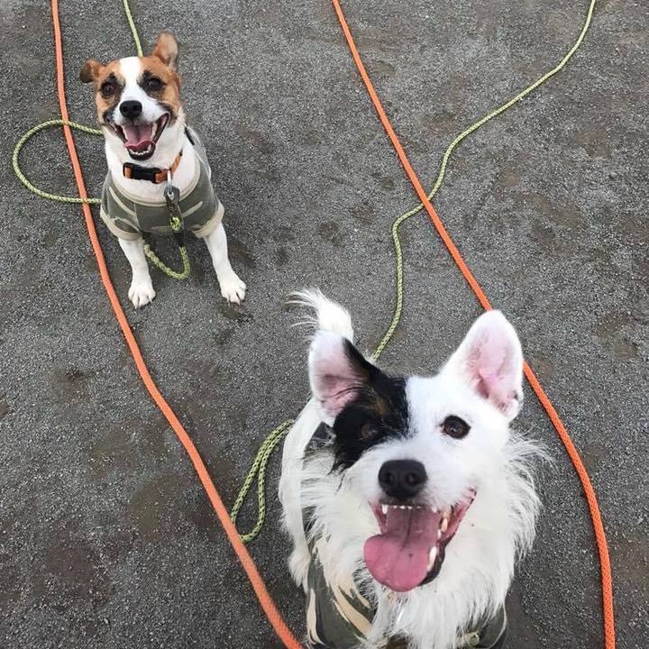 0769a21d 1cfa 4195 b93c 04162b804b25 1696674201056