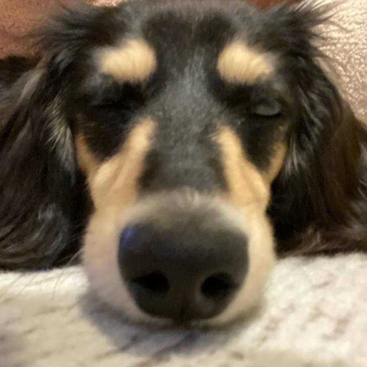 0769bf9f 4025 4305 8c48 7c3c2203aac2 1679146268205