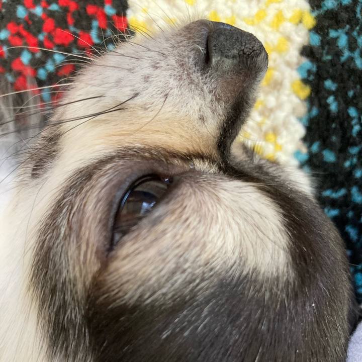 0769c7bf 8e20 4029 857b a9cf39a9b631 1704354062175